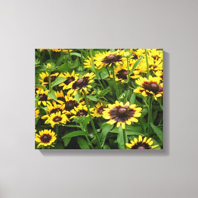 Field of Tiger Eye Flowers Wrapped Canvas (Front)