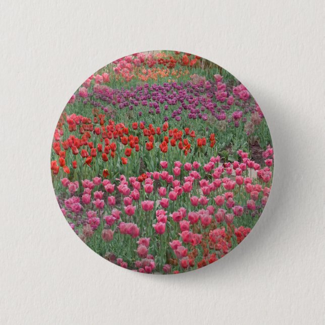 Field Of Tulips 6 Cm Round Badge (Front)