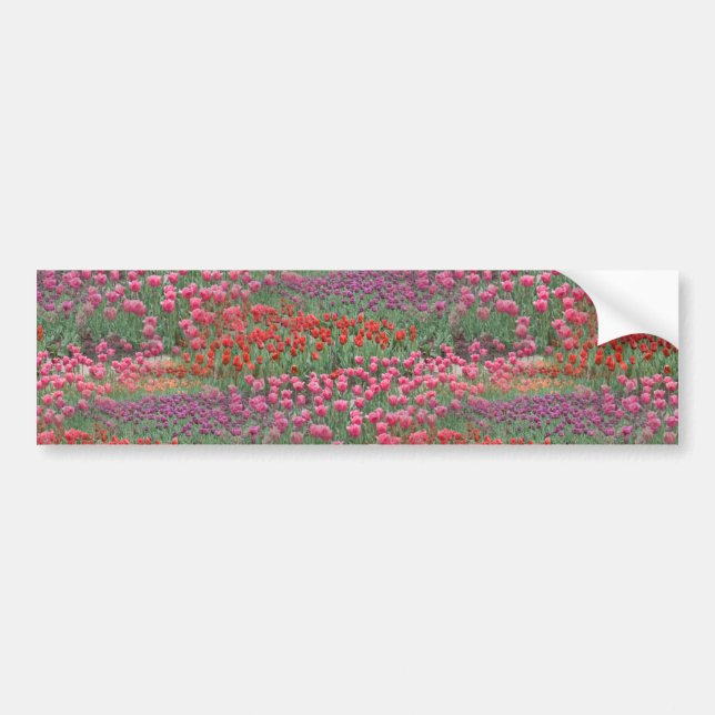 Field Of Tulips Bumper Sticker (Front)