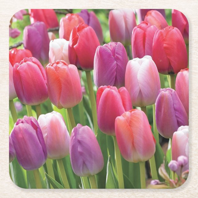 Field of Tulips Coaster Set (Front)