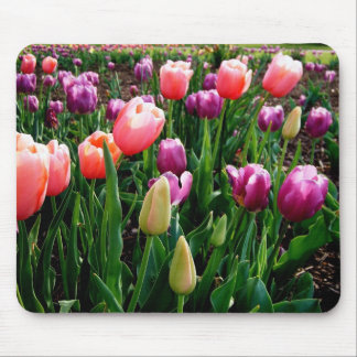 Field of Tulips Mouse Pad