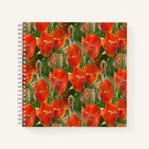 Field of Tulips....... Notebook