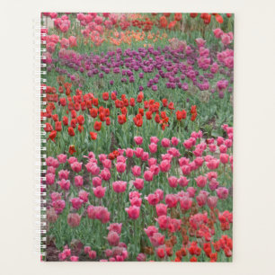 Field Of Tulips Planner