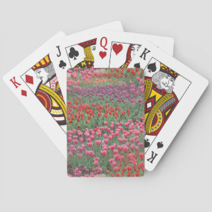 Field Of Tulips Playing Cards