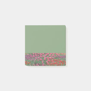 Field Of Tulips Post-it Notes