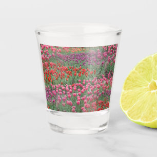Field Of Tulips Shot Glass