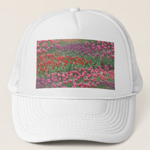 Field Of Tulips Trucker Hat