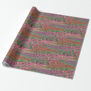 Field Of Tulips Wrapping Paper