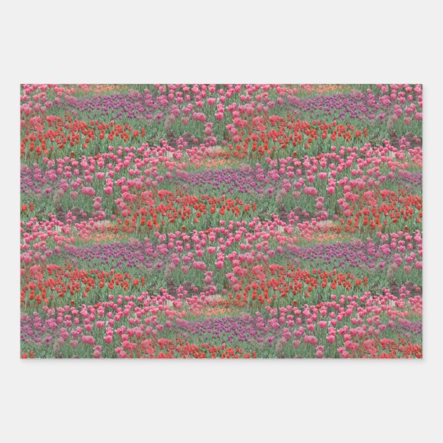 Field Of Tulips Wrapping Paper Sheet (Front 3)