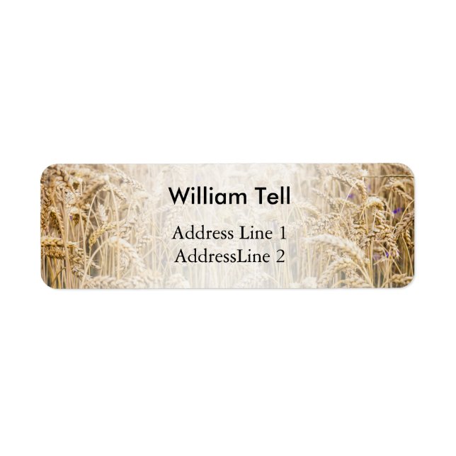 Field Of Wheat, Golden Grains (Front)