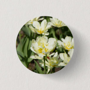Field of white tulips Photo 3 Cm Round Badge