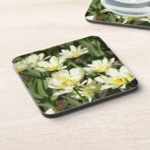Field of white tulips Photo Coaster