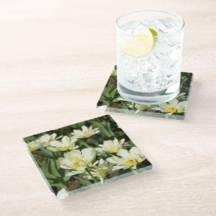 Field of white tulips Photo Glass Coaster