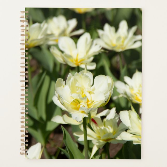 Field of white tulips Photo Planner (Front)