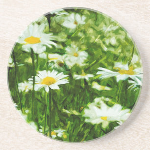 Field of White Wild Daisies Abstract Coaster
