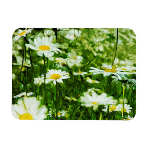 Field of White Wild Daisies Abstract Magnet