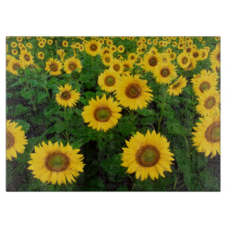 Field of Yellow Sunflowers Flower Cutting Board