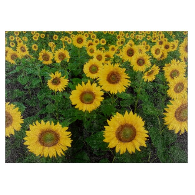 Field of Yellow Sunflowers Flower Cutting Board (Front)
