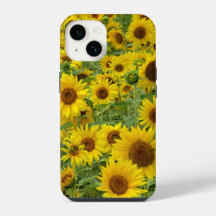Field of Yellow Sunflowers iPhone 14 Case
