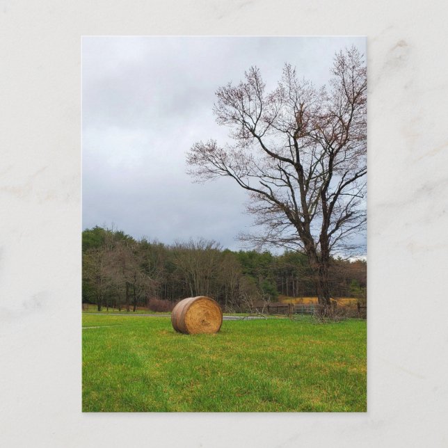 Field on a Cloudy Day Postcard (Front)