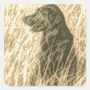 Field  Outdoorsman Hunting Dog Puppy Black lab Square Sticker