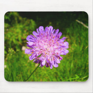 Field Scabious Mouse Mat