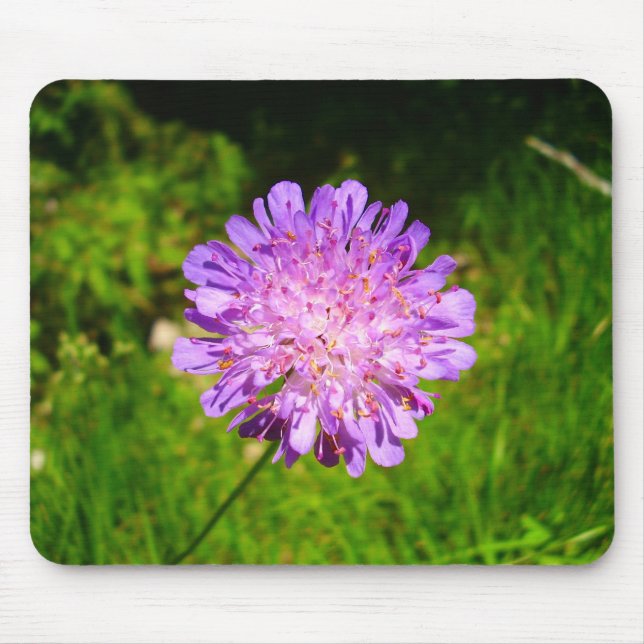 Field Scabious Mouse Mat (Front)