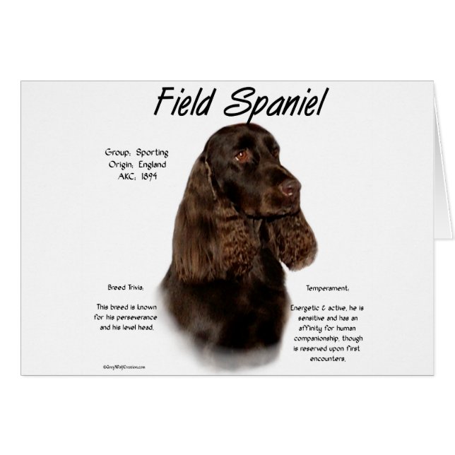 Field Spaniel History Design (Front Horizontal)