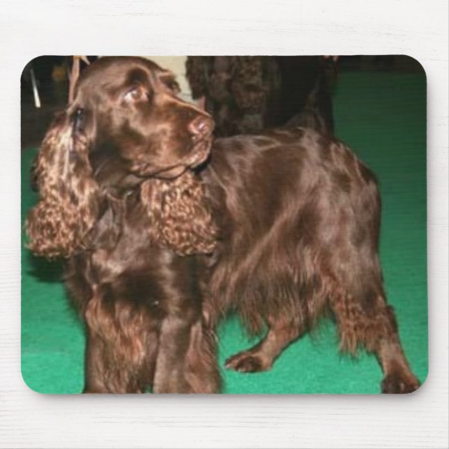 Field Spaniel Mousepad (Front)
