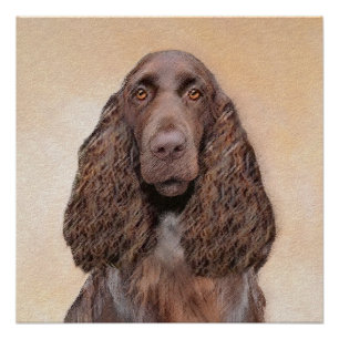 Field Spaniel Painting - Cute Original Dog Art Poster