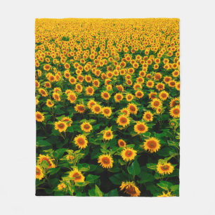 Field with bright yellow sunflowers in sunny day. fleece blanket