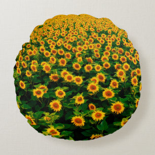 Field with bright yellow sunflowers in sunny day. round cushion