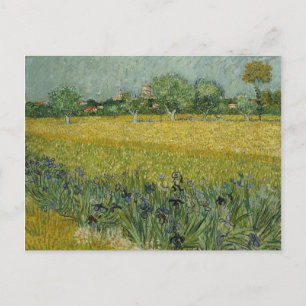 Field with flowers near Arles Postcard