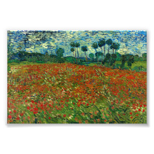Field with Poppies by Van Gogh Fine Art Photo Print