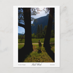 Field Work Prints Postcard