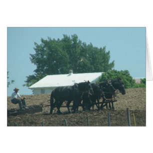 Field Work with Horses