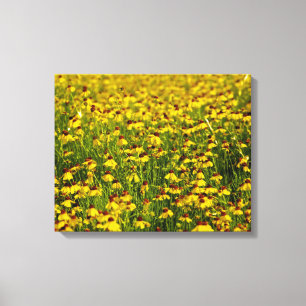 Field Yellow Wildflowers Photo Canvas Print