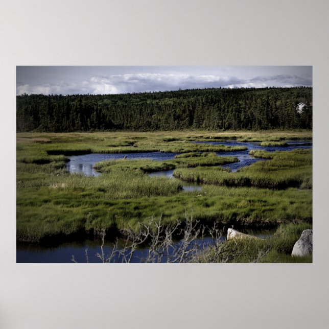 Fields and Streams fine art print (Front)