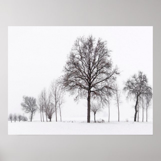 Fields Around Scalenghe | Piedmont, Italy Poster (Front)