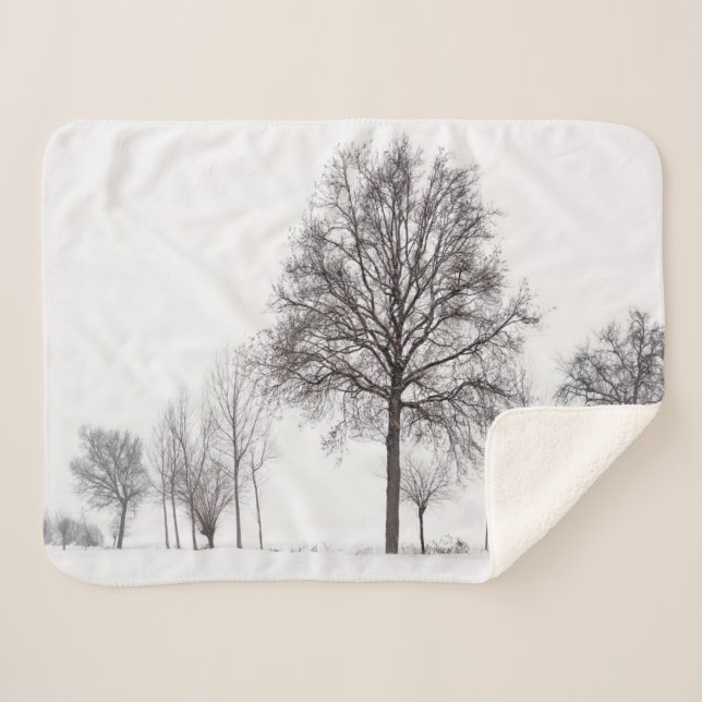 Fields Around Scalenghe | Piedmont, Italy Sherpa Blanket (Front (Horizontal))