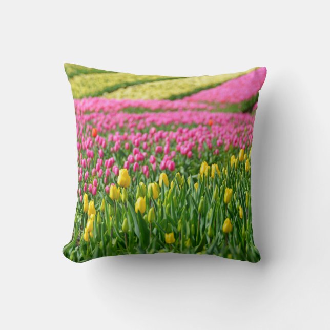 Fields of Colours Cushion (Front)