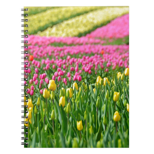 Fields of Colours Spiral Notebook (Front)