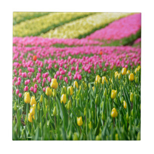 Fields of Colours Tile