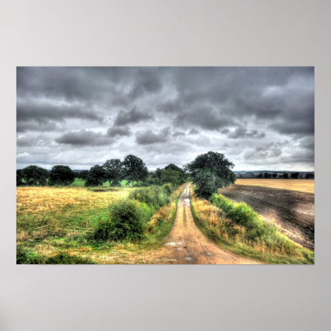 Fields of England Landscape HDR Photo Print (Front)
