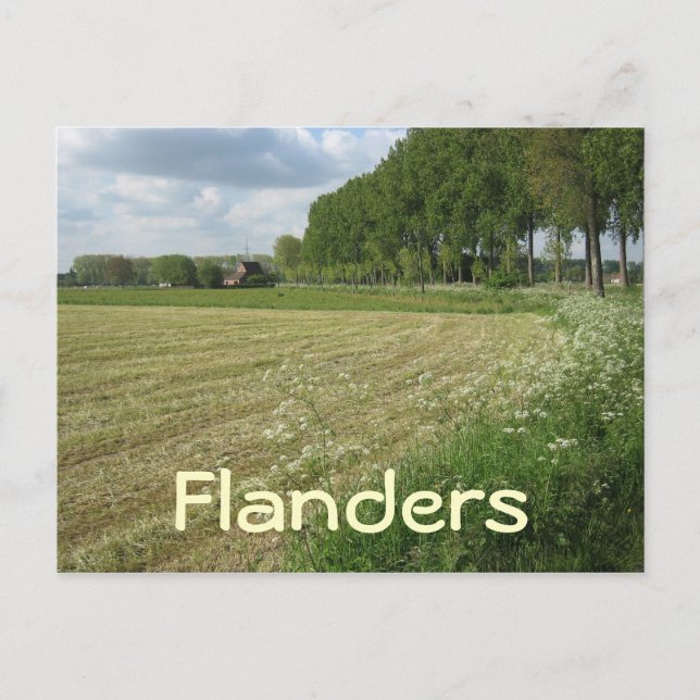 Fields of Flanders Postcard (Front)