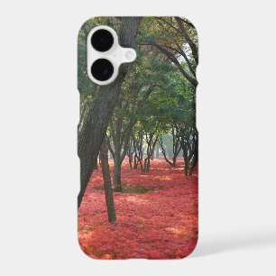 Fields of Flowers Forest