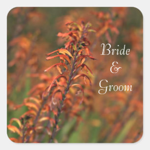 Fields of Orange Agave Bride and Groom Square Sticker