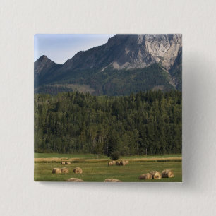 Fields with bailed hay, Alberta, Canada 15 Cm Square Badge