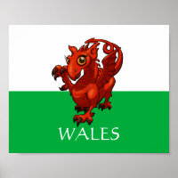 Fierce But Cute Baby Welsh Red Dragon Cartoon