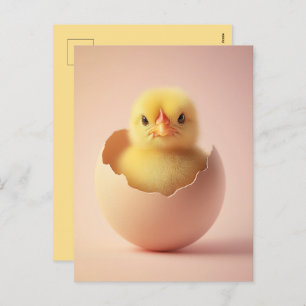 Fierce Chick in Eggshell Holiday Postcard